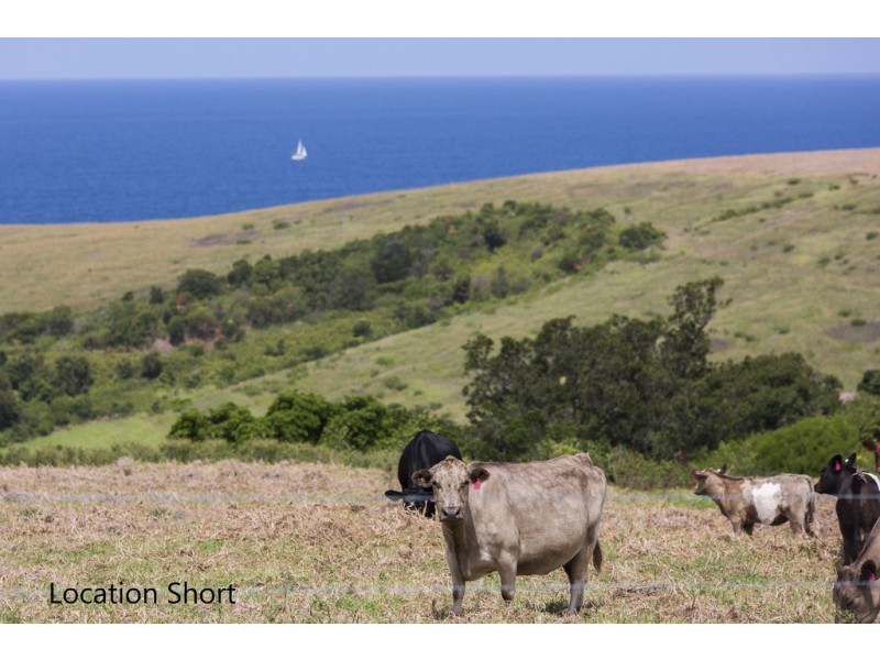 77 Kalang Road, Kiama Heights NSW 2533