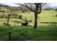 Jamberoo NSW 2533