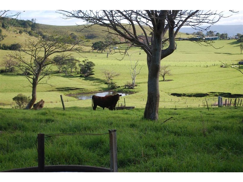 Jamberoo NSW 2533