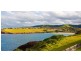 Kiama NSW 2533