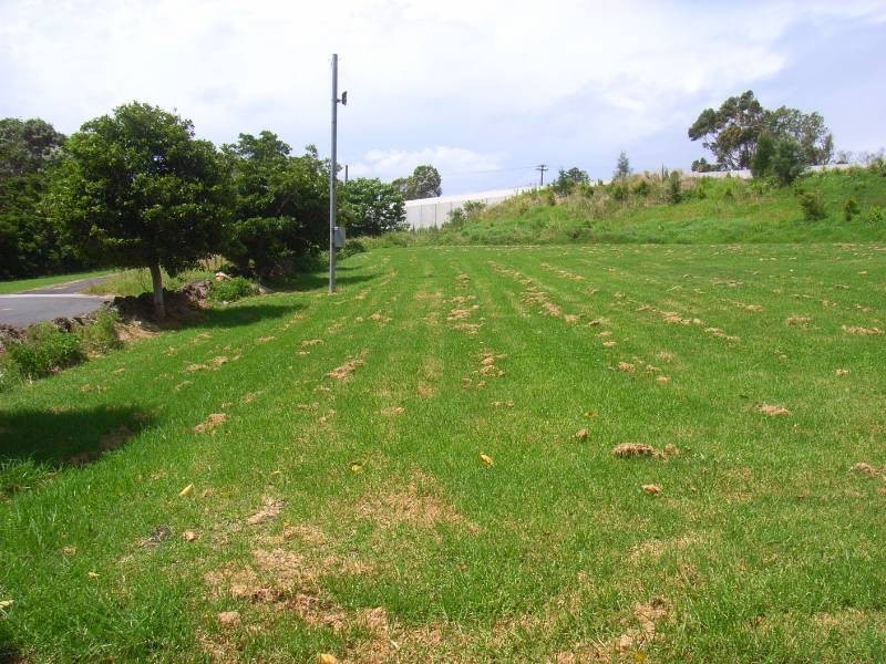 5 Old Saddleback Road, Kiama NSW 2533