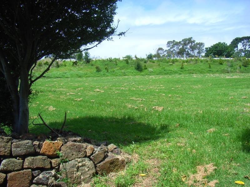 5 Old Saddleback Road, Kiama NSW 2533