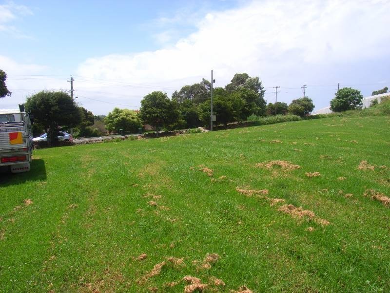 5 Old Saddleback Road, Kiama NSW 2533