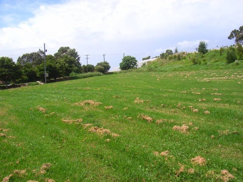 5 Old Saddleback Road, Kiama NSW 2533