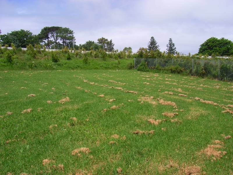 5 Old Saddleback Road, Kiama NSW 2533