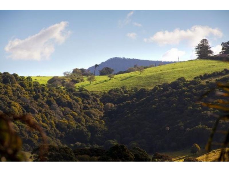 8 Whitton Place, Kiama NSW 2533