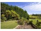 47a Cedar Ridge Road, Kiama NSW 2533