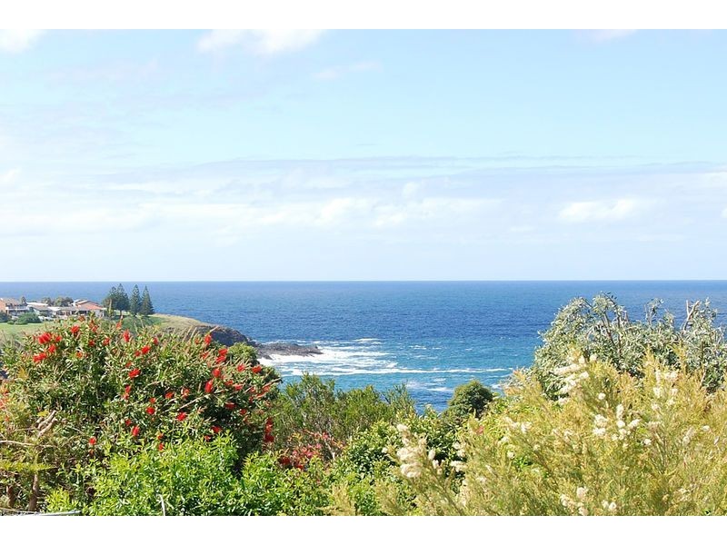 77 Attunga Ave, Kiama Heights NSW 2533