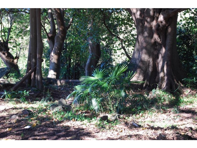 127 Princes Highway, Kiama Heights NSW 2533