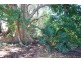 127 Princes Highway, Kiama Heights NSW 2533