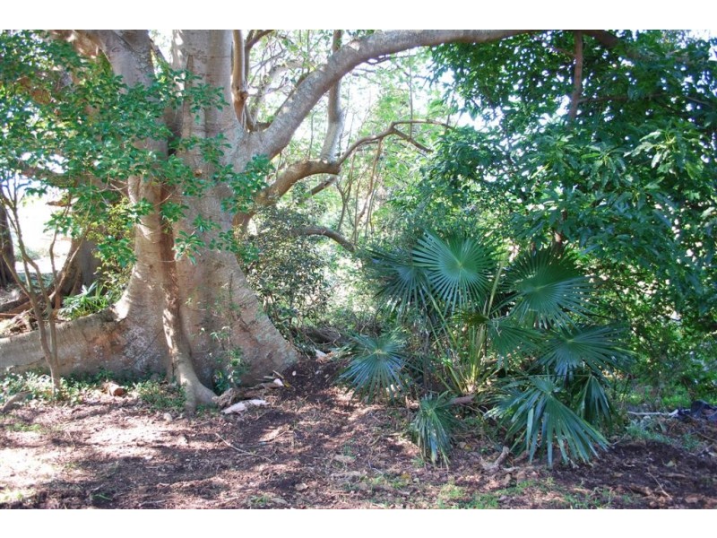 127 Princes Highway, Kiama Heights NSW 2533