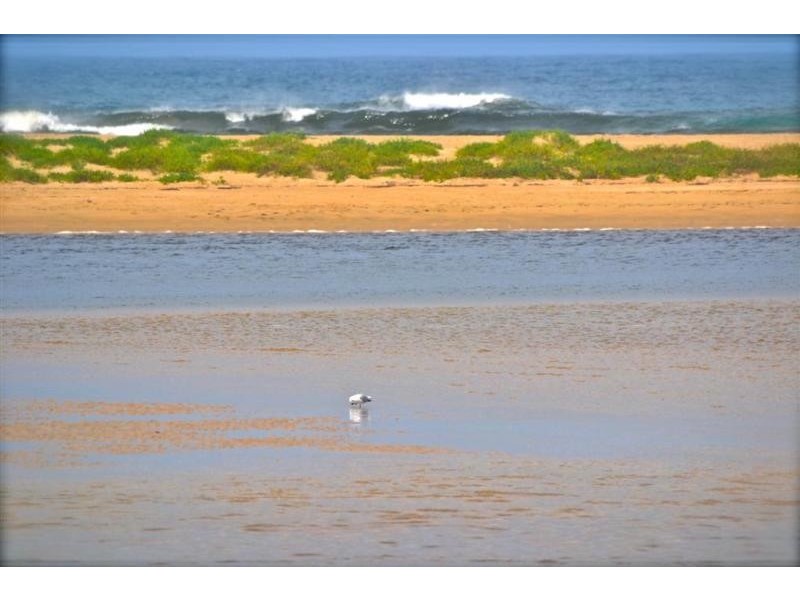 3/6-10 Boyd Street, Minnamurra NSW 2533