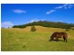 Foxground NSW 2534