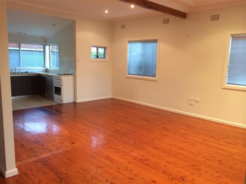 45 Anne Street, Warilla NSW 2528