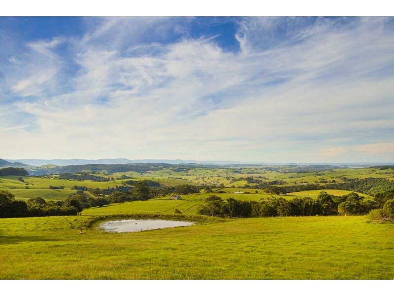 285 Mount Brandon Rd, Jerrara NSW 2533