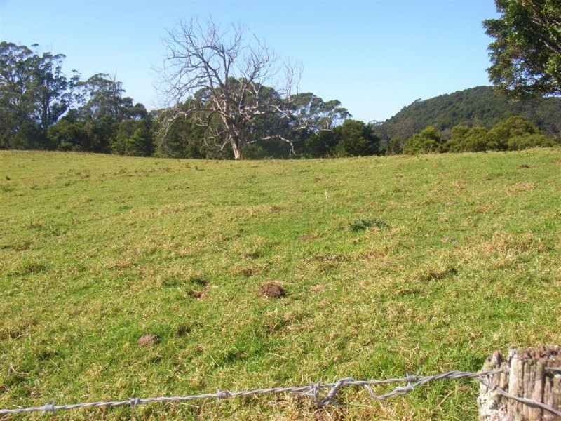 71 Nuninuna Drive, Jamberoo NSW 2533