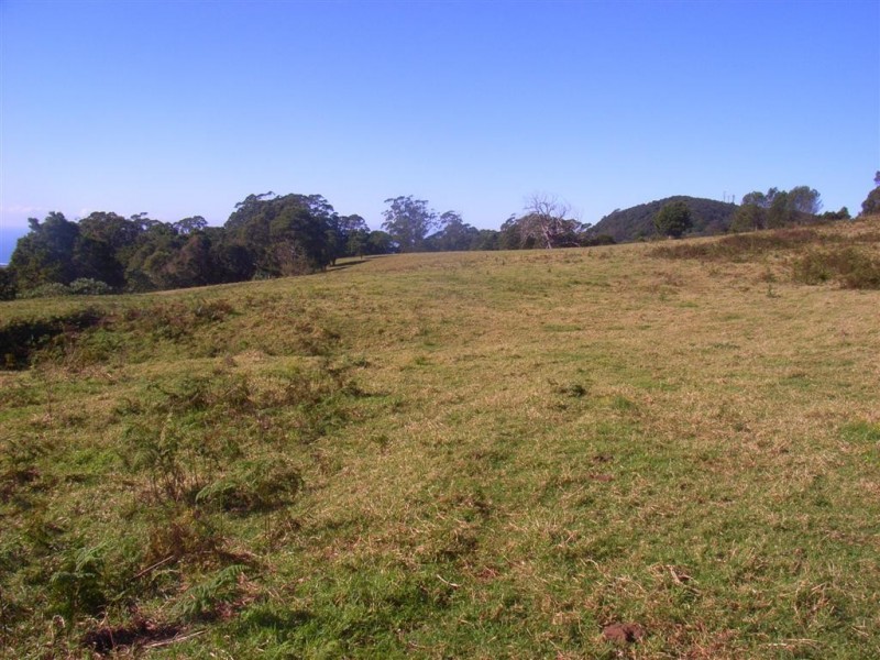 71 Nuninuna Drive, Jamberoo NSW 2533