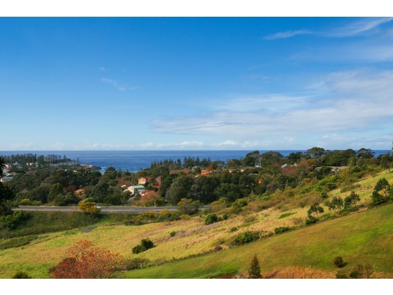 52 Saddleback Mountain Road, Kiama NSW 2533