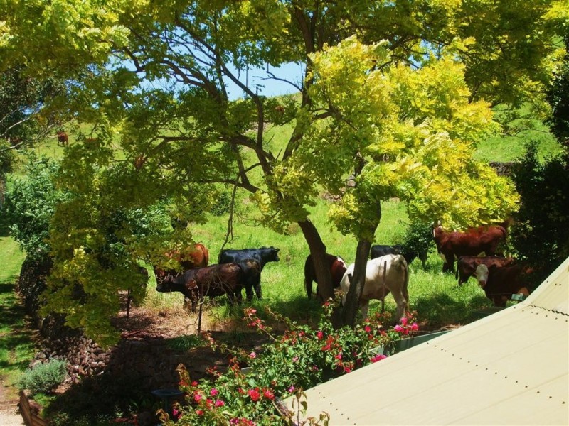 52 Saddleback Mountain Road, Kiama NSW 2533