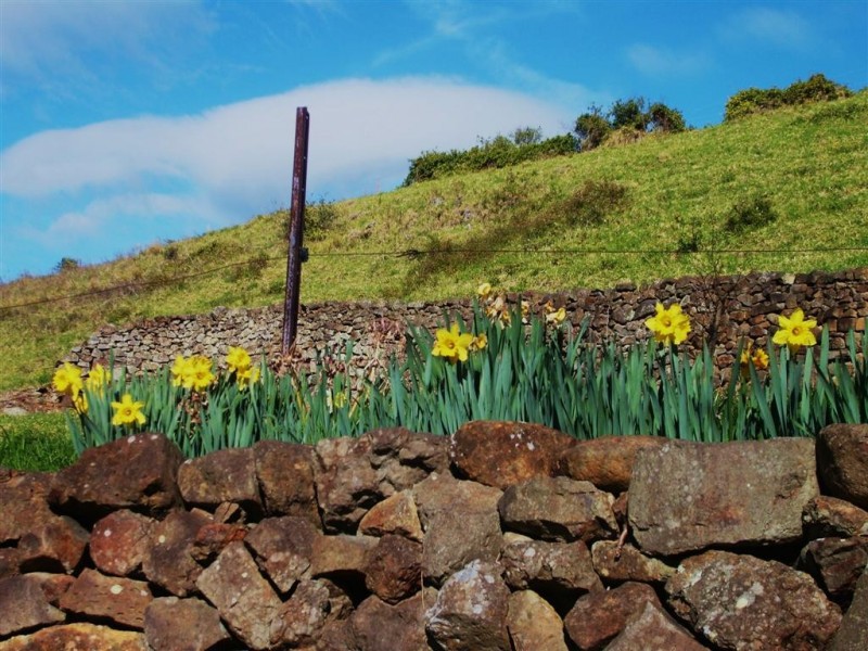 52 Saddleback Mountain Road, Kiama NSW 2533