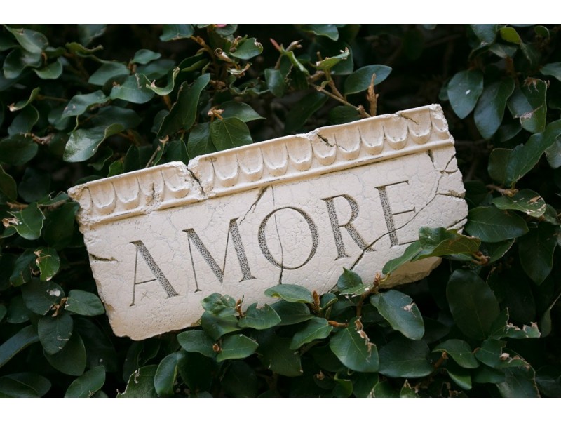 52 Saddleback Mountain Road, Kiama NSW 2533