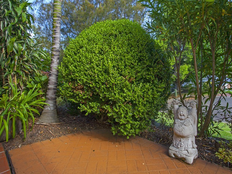 2 Evans Place, Kiama NSW 2533