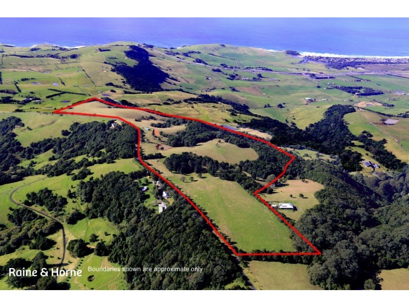 459 Saddleback Mountain Road, Jamberoo NSW 2533