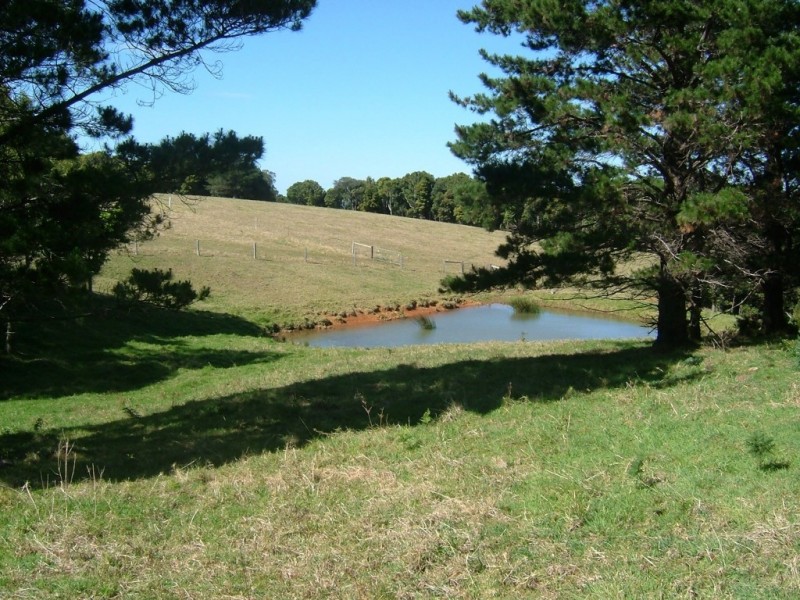 459 Saddleback Mountain Road, Jamberoo NSW 2533