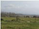 25 Arnold Street, Kiama NSW 2533