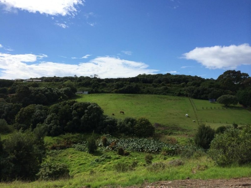 14/41 Banksia Drive, Kiama NSW 2533