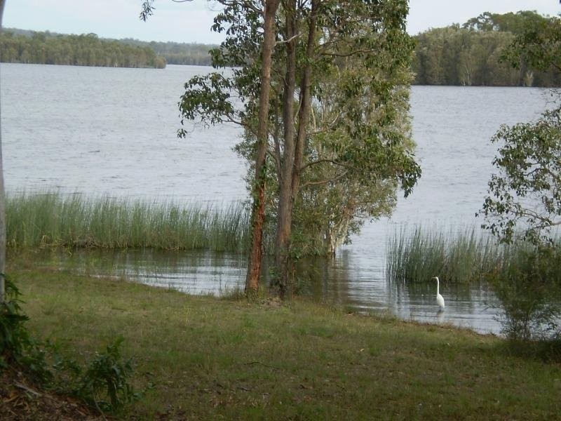 1715 Mt Gravatt-Capalaba Rd, Chandler QLD 4155