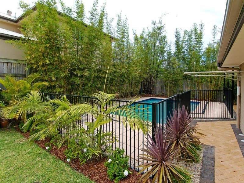 49 Primrose St, Thornlands QLD 4164