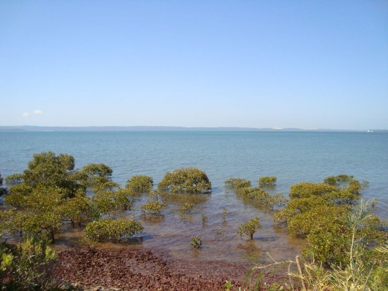 6/123  Shore Street North, Cleveland QLD 4163