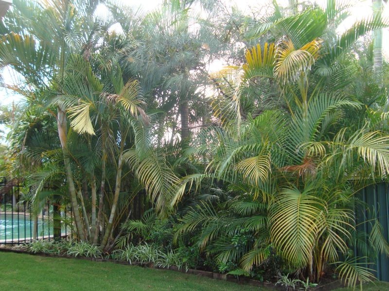 30  Frampton Street, Alexandra Hills QLD 4161