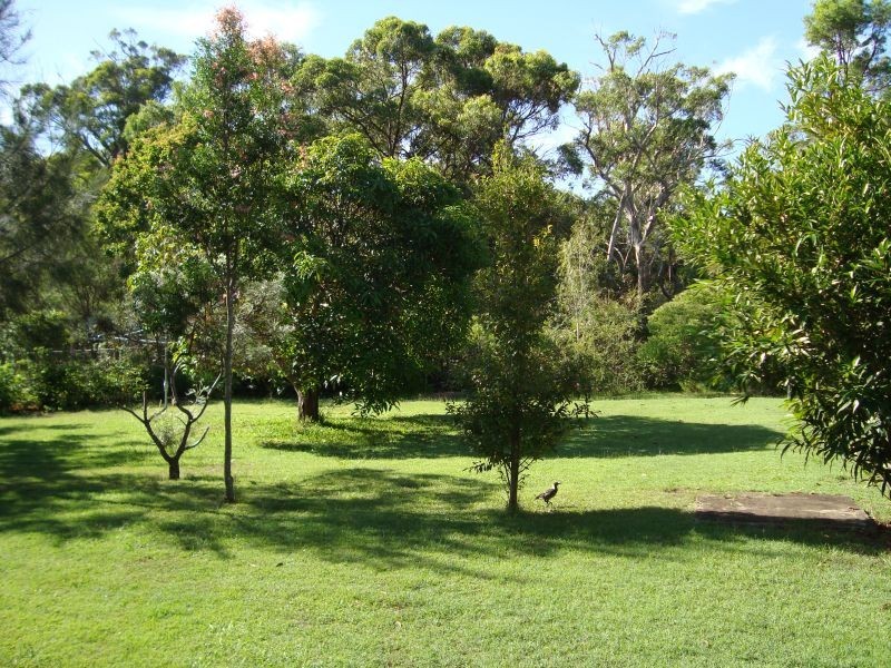 318 Finucane Road, Alexandra Hills QLD 4161