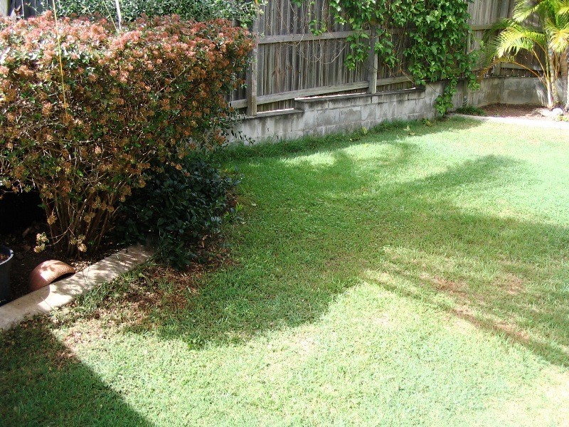 Alexandra Hills QLD 4161