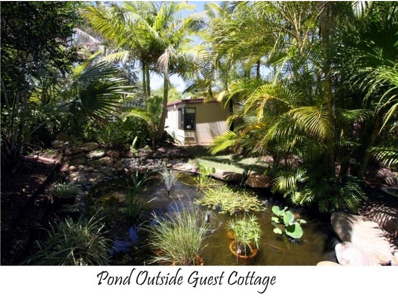 66 Long Street, Cleveland QLD 4163