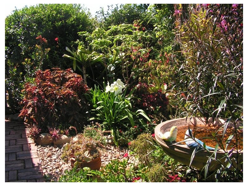 Alexandra Hills QLD 4161