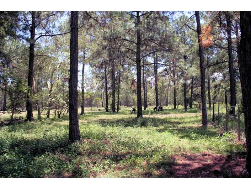 1162 New Cleveland Rd., Gumdale QLD 4154