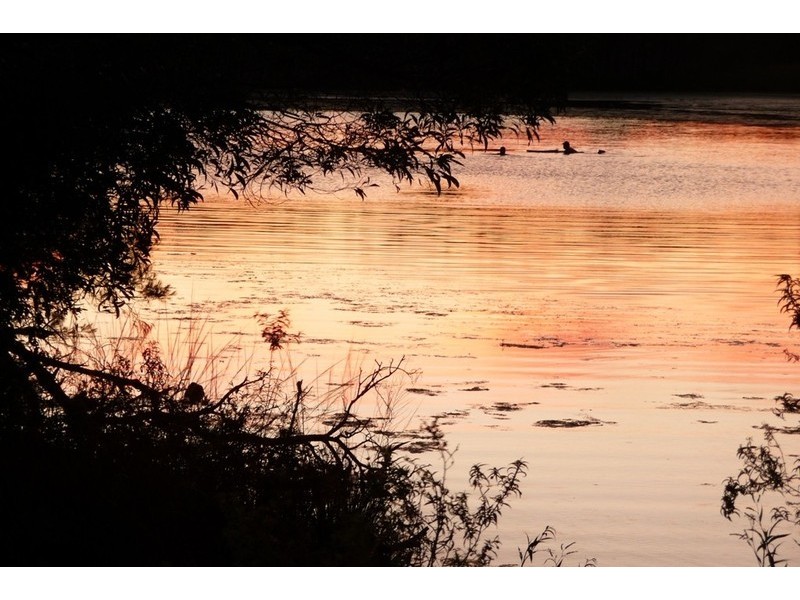Thornlands QLD 4164