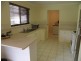 41 BLUEBELL STREET, Alexandra Hills QLD 4161