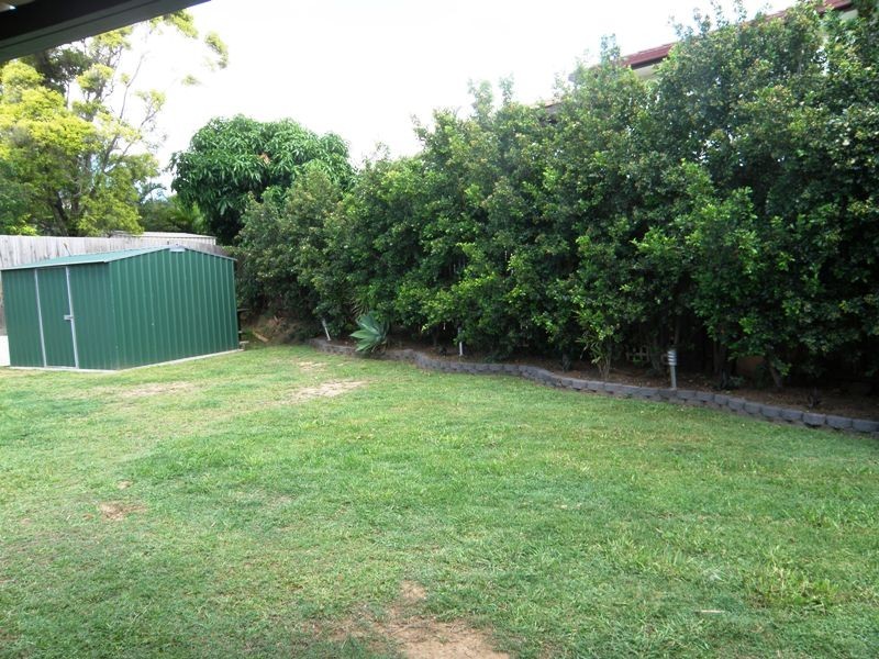 41 BLUEBELL STREET, Alexandra Hills QLD 4161