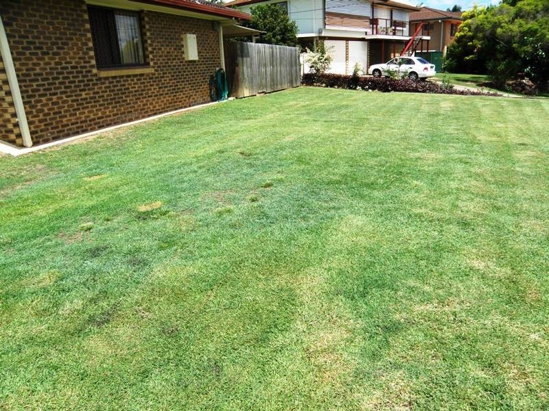41 BLUEBELL STREET, Alexandra Hills QLD 4161