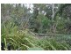 4 Truscot Place, Thornlands QLD 4164