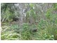 4 Truscot Place, Thornlands QLD 4164