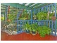 68 Warner Street, Wellington Point QLD 4160