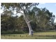 2 Creswick Place, Birkdale QLD 4159
