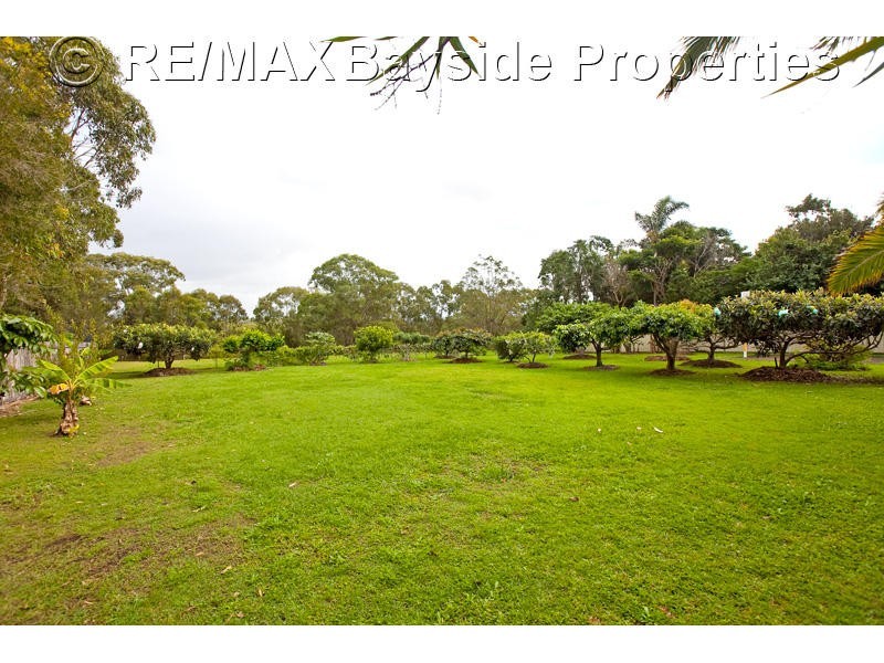 38 Whitehall Av, Birkdale QLD 4159