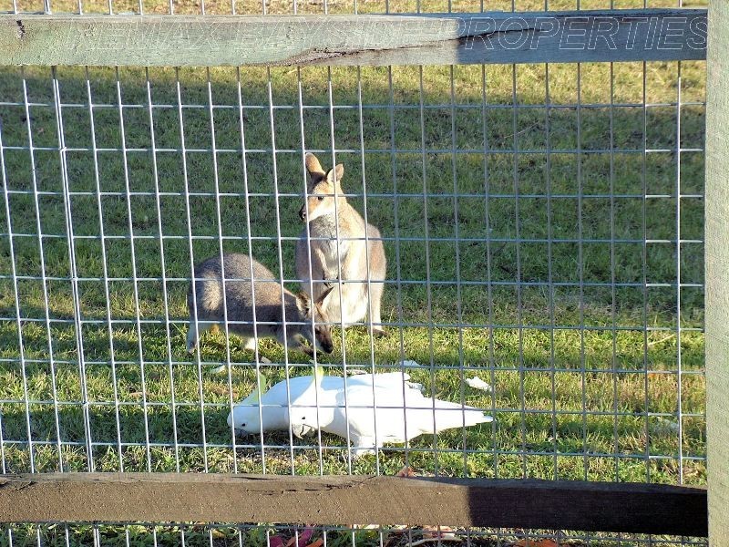 3 LILLYPILLY STREET, Mount Cotton QLD 4165