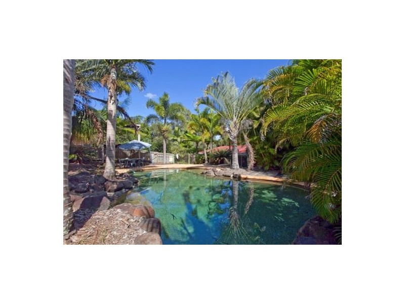 7 Parkwood Drive, Capalaba QLD 4157